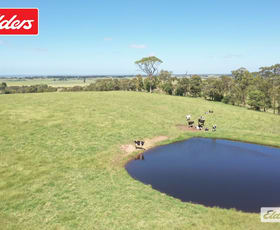 Rural / Farming commercial property for sale at 130 Basfords Lane Stratford VIC 3862