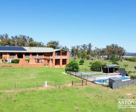 Rural / Farming commercial property for sale at 35 Murrays Lane Grenfell NSW 2810 Rural / Farming commercial property for sale at 35 Murrays Lane Grenfell NSW 2810