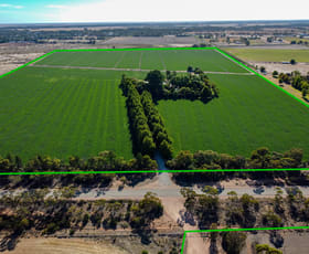 Rural / Farming commercial property for sale at 81 Back Boga Road Swan Hill VIC 3585