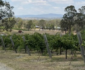 Rural / Farming commercial property for sale at *** Talga Road Lovedale NSW 2325