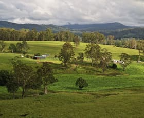 Rural / Farming commercial property for sale at 1023 Iron Pot Creek Rd Kyogle NSW 2474 Rural / Farming commercial property for sale at 1023 Iron Pot Creek Rd Kyogle NSW 2474