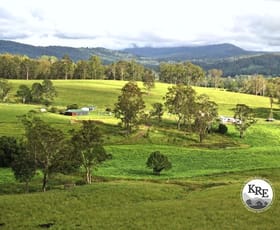 Rural / Farming commercial property for sale at 1023 Iron Pot Creek Rd Kyogle NSW 2474 Rural / Farming commercial property for sale at 1023 Iron Pot Creek Rd Kyogle NSW 2474