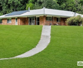 Rural / Farming commercial property for sale at 1798 Dooralong Road Lemon Tree NSW 2259 Rural / Farming commercial property for sale at 1798 Dooralong Road Lemon Tree NSW 2259