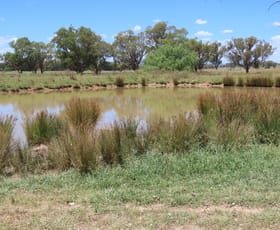 Rural / Farming commercial property for sale at "Wattle-we-doo" 14213 New England HWY Timbumburi NSW 2340 Rural / Farming commercial property for sale at "Wattle-we-doo" 14213 New England HWY Timbumburi NSW 2340