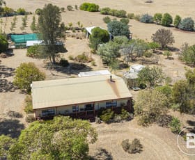 Rural / Farming commercial property for sale at 23 Marshall Lane Avoca VIC 3467