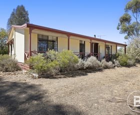 Rural / Farming commercial property for sale at 23 Marshall Lane Avoca VIC 3467 Rural / Farming commercial property for sale at 23 Marshall Lane Avoca VIC 3467