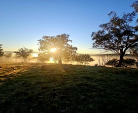 Rural / Farming commercial property for sale at 242 Fashions Mount Road Mumbil via Wellington NSW 2820