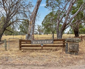 Rural / Farming commercial property for sale at 339 Burrumbeep Road Maroona VIC 3377