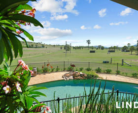 Rural / Farming commercial property for sale at 26 Thomas Lane Singleton NSW 2330 Rural / Farming commercial property for sale at 26 Thomas Lane Singleton NSW 2330