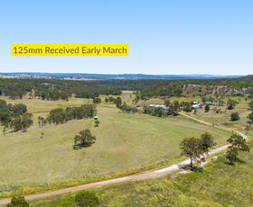 Rural / Farming commercial property for sale at 374 Voll Road Crows Nest QLD 4355