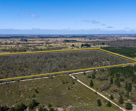 Rural / Farming commercial property for sale at 16 Centella Lane Longford VIC 3851