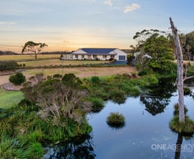 Rural / Farming commercial property for sale at 50 Anthony Beach Road Smithton TAS 7330 Rural / Farming commercial property for sale at 50 Anthony Beach Road Smithton TAS 7330
