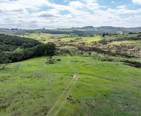 Rural / Farming commercial property for sale at 1130 Majors Creek Road Braidwood NSW 2622