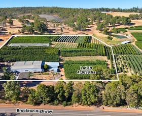 Rural / Farming commercial property for sale at 1311 Brookton Highway Karragullen WA 6111