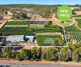 Rural / Farming commercial property for sale at 1311 Brookton Highway Karragullen WA 6111