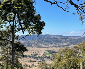 Rural / Farming commercial property for sale at 1447 Gresford Road Vacy NSW 2421