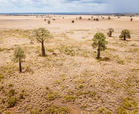 Rural / Farming commercial property for sale at Tingun QLD 4455