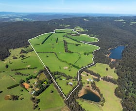 Rural / Farming commercial property for sale at 490 Gordons Bridge Road Castella VIC 3777