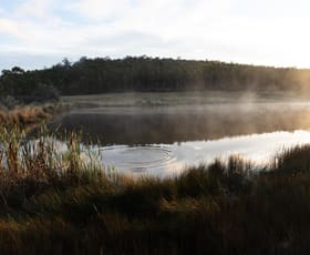 Rural / Farming commercial property for sale at 2413 Nugent Road Buckland TAS 7190 Rural / Farming commercial property for sale at 2413 Nugent Road Buckland TAS 7190