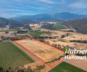 Rural / Farming commercial property for sale at 564 Upper King River Road Cheshunt South VIC 3678