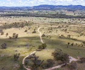 Rural / Farming commercial property for sale at Lot 570 Tarban Road Tenterfield NSW 2372