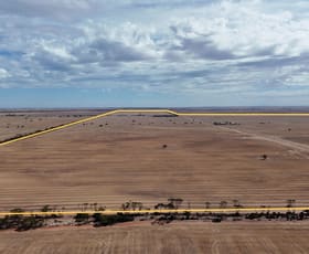 Rural / Farming commercial property for sale at Lavinia Downs/523 Frost Road Alford SA 5555