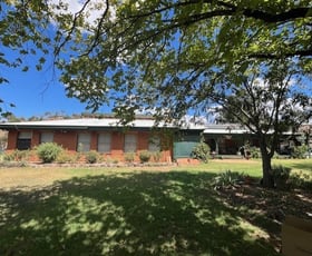 Rural / Farming commercial property for sale at 6702A MANILLA ROAD Red Hill NSW 2347 Rural / Farming commercial property for sale at 6702A MANILLA ROAD Red Hill NSW 2347