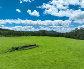 Rural / Farming commercial property for sale at Paddy's Flat Road Tabulam NSW 2469
