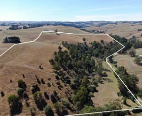 Rural / Farming commercial property for sale at 790 Soldiers Road Poowong VIC 3988