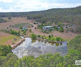 Rural / Farming commercial property for sale at 186 McKechnie Road Ruby Creek NSW 4380