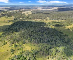 Rural / Farming commercial property for sale at Lot 145 Ellangowan Myrtle Creek Road Ellangowan Via Casino NSW 2470