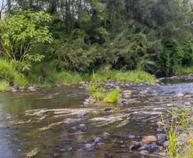 Rural / Farming commercial property for sale at 376 Findon Creek Road Findon Creek NSW 2474