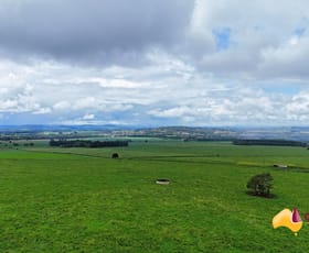 Rural / Farming commercial property for sale at Sims Road Tolga QLD 4882