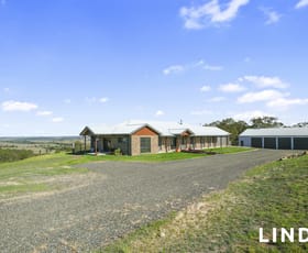 Rural / Farming commercial property for sale at 89 Tangory Rise Glendon Brook NSW 2330