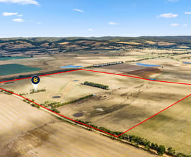 Rural / Farming commercial property for sale at 55 Wineshanty Road Barwon Downs VIC 3243