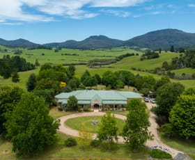 Rural / Farming commercial property for sale at "King Ranch" 481 Upper Bobo Road Dorrigo NSW 2453