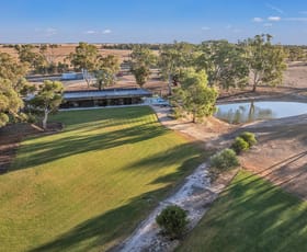 Rural / Farming commercial property for sale at 251 Fulham Road Echuca VIC 3564