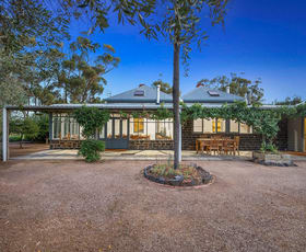 Rural / Farming commercial property for sale at 644 Baringhup West Road Baringhup West VIC 3463 Rural / Farming commercial property for sale at 644 Baringhup West Road Baringhup West VIC 3463