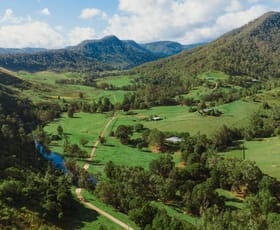 Rural / Farming commercial property for sale at 466 Sarabah Road Sarabah QLD 4275
