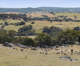 Rural / Farming commercial property for sale at 995 Lancefield-Pyalong Road Nulla Vale VIC 3435 Rural / Farming commercial property for sale at 995 Lancefield-Pyalong Road Nulla Vale VIC 3435