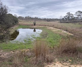 Rural / Farming commercial property for sale at 111 Farringdon Road Braidwood NSW 2622