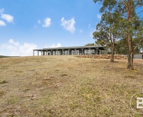 Rural / Farming commercial property for sale at 124 Kays Road Beaufort VIC 3373