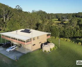 Rural / Farming commercial property for sale at 2324B Armidale Road Blaxlands Creek NSW 2460