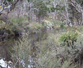 Rural / Farming commercial property for sale at 1521 Morven Road Dundee NSW 2370