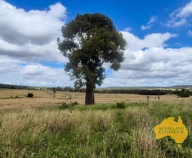 Rural / Farming commercial property for sale at 296 Cloyna West Road Cloyna QLD 4605