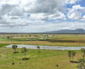 Rural / Farming commercial property for sale at 'Serpentine Park' River Road Midgee QLD 4702