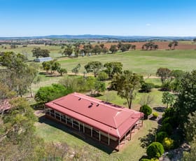 Rural / Farming commercial property for sale at 306 Moola Road Canowindra NSW 2804