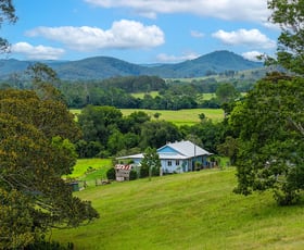 Rural / Farming commercial property for sale at 198 Bow Hill Road Dollys Flat NSW 2429