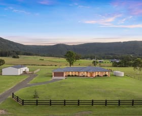 Rural / Farming commercial property for sale at 256 Mill Lane Quorrobolong NSW 2325