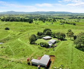 Rural / Farming commercial property for sale at 675 Pines Road Edenville NSW 2474 Rural / Farming commercial property for sale at 675 Pines Road Edenville NSW 2474